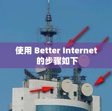 使用 Better Internet 的步骤如下 使用 Better Internet 的步骤如下