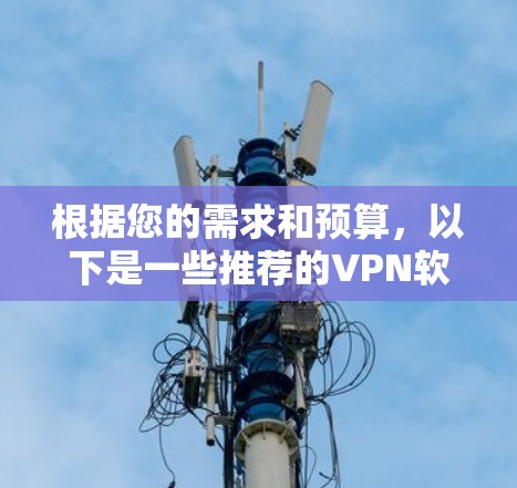 根据您的需求和预算，以下是一些推荐的VPN软件，涵盖了功能全面、多语言支持、灵活配置和多种协议功能的选项