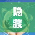 隐藏 VPN，保护你的网络隐私，提升网络安全性