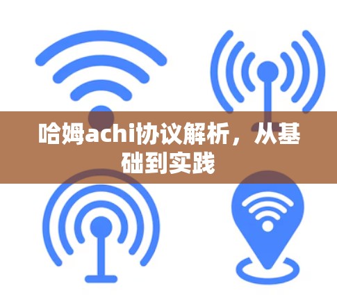 哈姆achi协议解析，从基础到实践