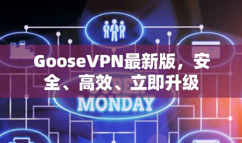 GooseVPN最新版，安全、高效、立即升级