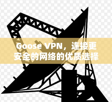 Goose VPN,连接更安全的网络的优质选择 Goose VPN,连接更安全的网络的优质选择