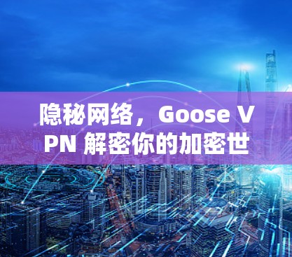 隐秘网络，Goose VPN 解密你的加密世界
