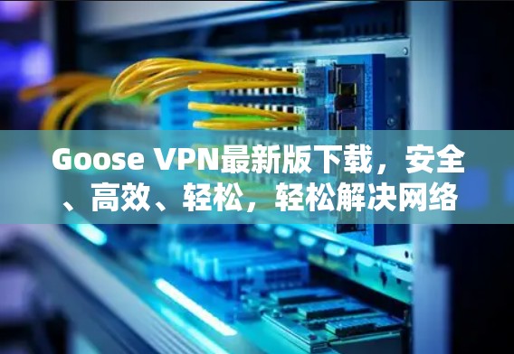 Goose VPN最新版下载,安全、高效、轻松,轻松解决网络问题 Goose VPN最新版下载,安全、高效、轻松,轻松解决网络问题