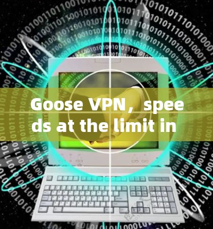 Goose VPN，speeds at the limit in the 21st century