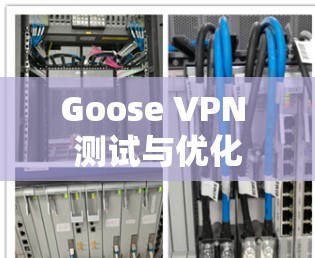 Goose VPN 测试与优化 Goose VPN 测试与优化