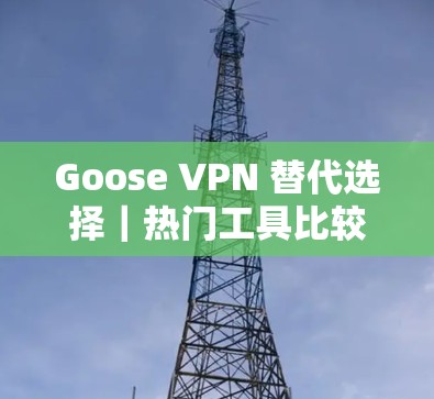 Goose VPN 替代选择|热门工具比较 Goose VPN 替代选择|热门工具比较