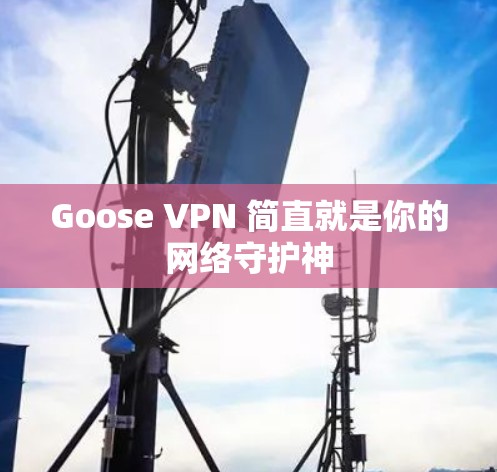 Goose VPN 简直就是你的网络守护神