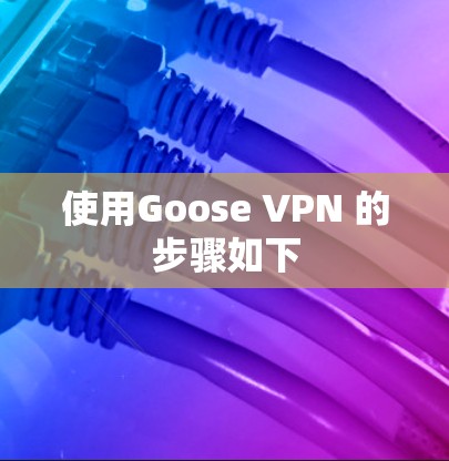 使用Goose VPN 的步骤如下