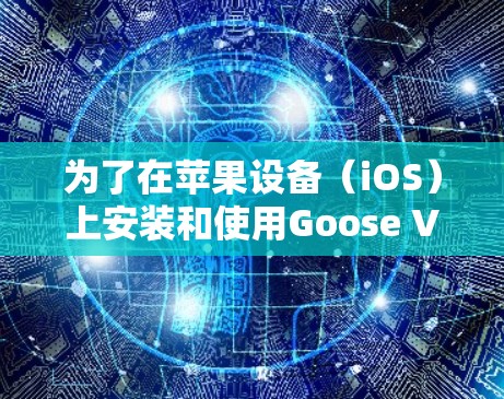 为了在苹果设备（iOS）上安装和使用Goose VPN，可以按照以下步骤进行