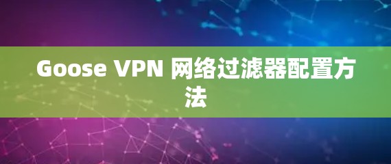 Goose VPN 网络过滤器配置方法