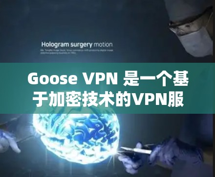 Goose VPN 是一个基于加密技术的VPN服务,旨在保护用户的网络隐私和数据安全。如果你对科学上网方案感兴趣,以下是一个详细的指南,帮助你更好地理解如何使用Goose VPN 进行科学上网 Goose VPN 是一个基于加密技术的VPN服务,旨在保护用户的网络隐私和数据安全。如果你对科学上网方案感兴趣,以下是一个详细的指南,帮助你更好地理解如何使用Goose VPN 进行科学上网