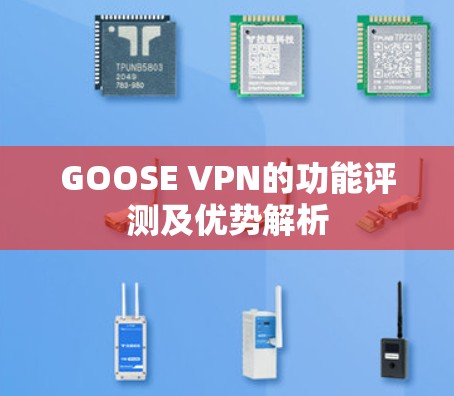 GOOSE VPN的功能评测及优势解析