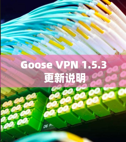 Goose VPN 1.5.3 更新说明 Goose VPN 1.5.3 更新说明
