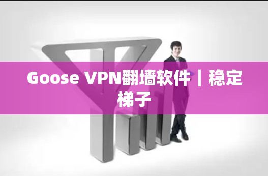 Goose VPN<strong>翻墙</strong>软件｜稳定梯子
