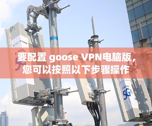 要配置 goose VPN电脑版，您可以按照以下步骤操作