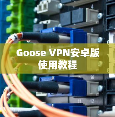 Goose VPN安卓版使用教程