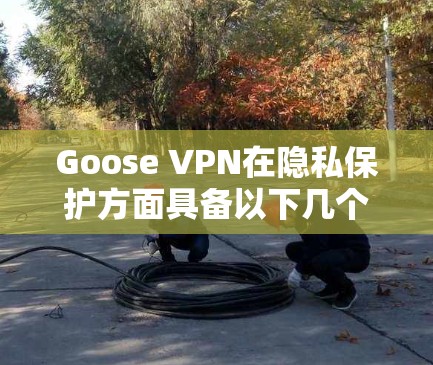 Goose VPN在隐私保护方面具备以下几个关键优势 Goose VPN在隐私保护方面具备以下几个关键优势