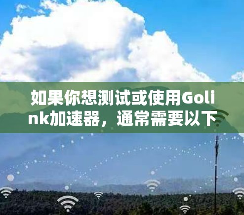 如果你想测试或使用Golink加速器，通常需要以下步骤