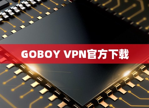 GOBOY VPN官方下载 GOBOY VPN官方下载