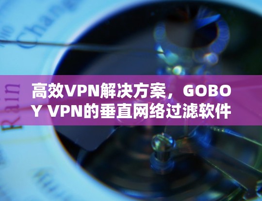 高效VPN解决方案,GOBOY VPN的垂直网络过滤软件 高效VPN解决方案,GOBOY VPN的垂直网络过滤软件