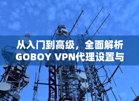 从入门到高级，全面解析GOBOY VPN代理设置与使用指南