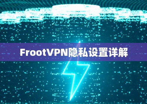 FrootVPN隐私设置详解