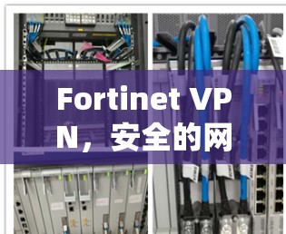 Fortinet VPN，安全的网络通信选择