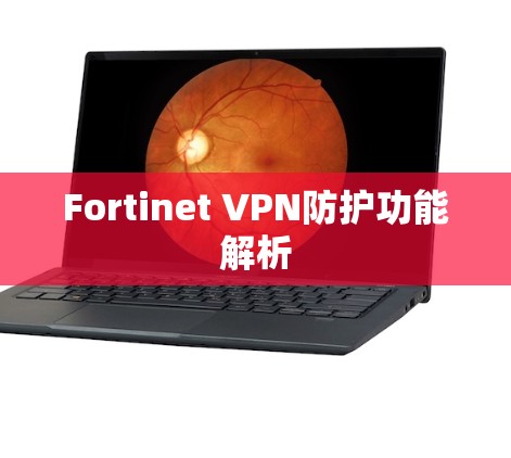 Fortinet VPN防护功能解析