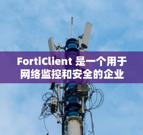 FortiClient 是一个用于网络监控和安全的企业级网络威胁检测和响应软件。以下是几种常用的下载来源和链接