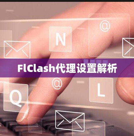 FlClash代理设置解析