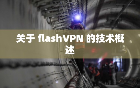关于 flashVPN 的技术概述 关于 flashVPN 的技术概述