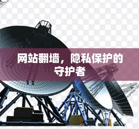 网站翻墙,隐私保护的守护者 网站翻墙,隐私保护的守护者