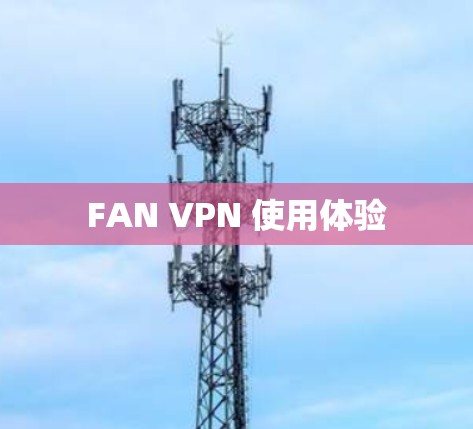 FAN VPN 使用体验 FAN VPN 使用体验
