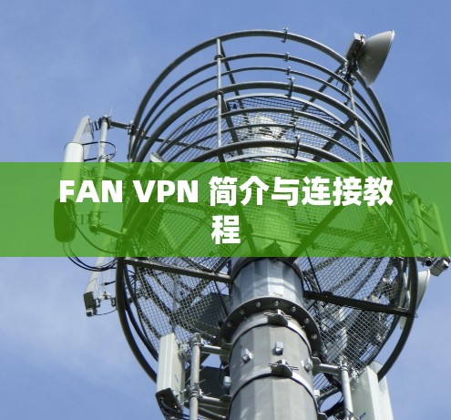 FAN VPN 简介与连接教程