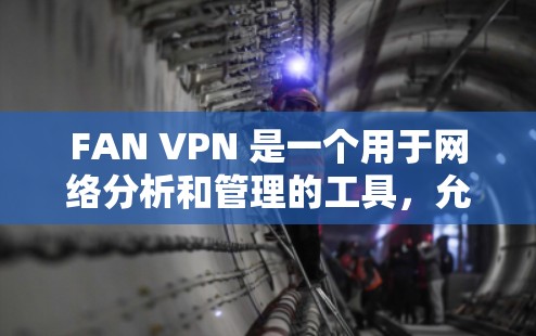 FAN VPN 是一个用于网络分析和管理的工具，允许用户监控、分析和管理某个网络服务。以下是使用 FAN VPN 工具的步骤指南