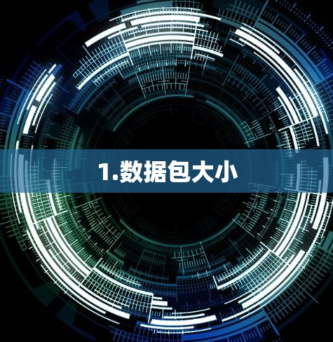 1.数据包大小 1.数据包大小