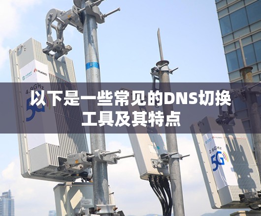 以下是一些常见的DNS切换工具及其特点