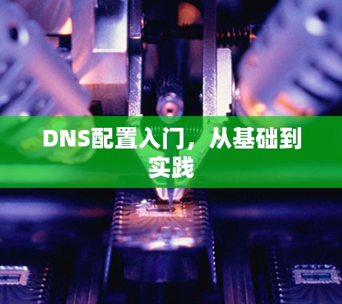 DNS配置入门，从基础到实践