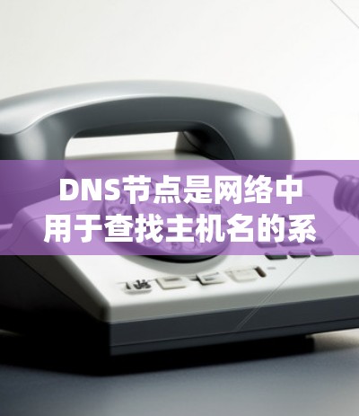 DNS节点是网络中用于查找主机名的系统，负责将域名映射到具体的IP地址。以下是关于DNS节点的详细说明