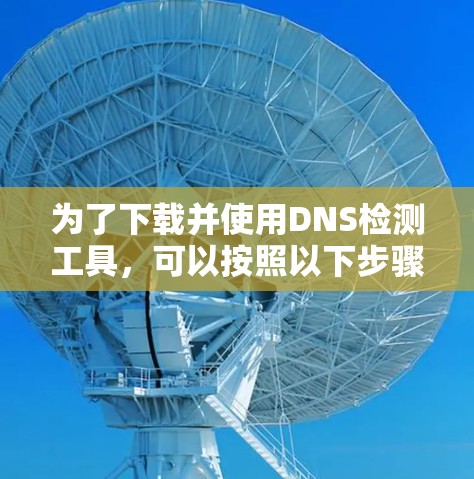 为了下载并使用DNS检测工具，可以按照以下步骤操作