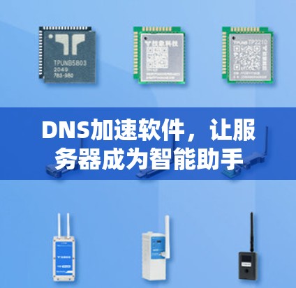 DNS加速软件，让服务器成为智能助手