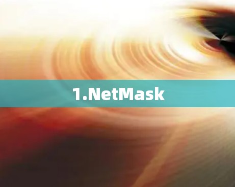 1.NetMask