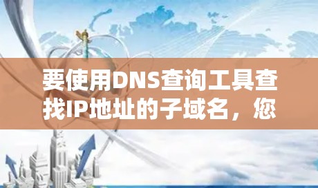 要使用DNS查询工具查找IP地址的子域名，您可以按照以下步骤进行操作