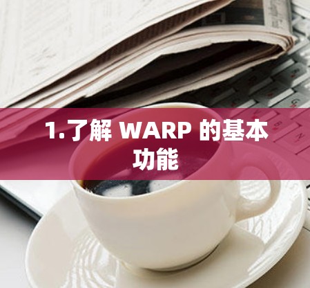 1.了解 WARP 的基本功能