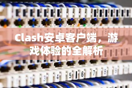 Clash安卓客户端，游戏体验的全解析