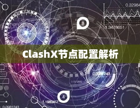 ClashX节点配置解析