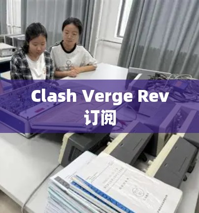 Clash Verge Rev订阅