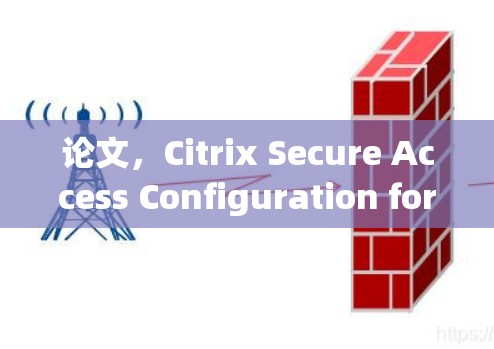 论文，Citrix Secure Access Configuration for Businesses
