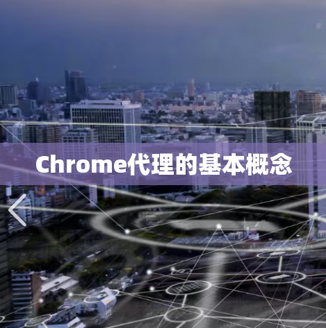 Chrome代理的基本概念